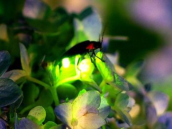 20110608.jpg