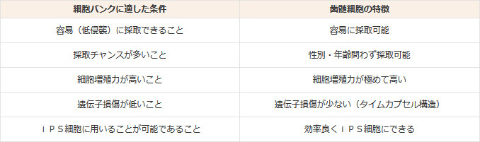 歯髄細胞が細胞バンクに適している理由